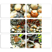 Магнитные фотопазлы 90 на 50 набор 6 штук 