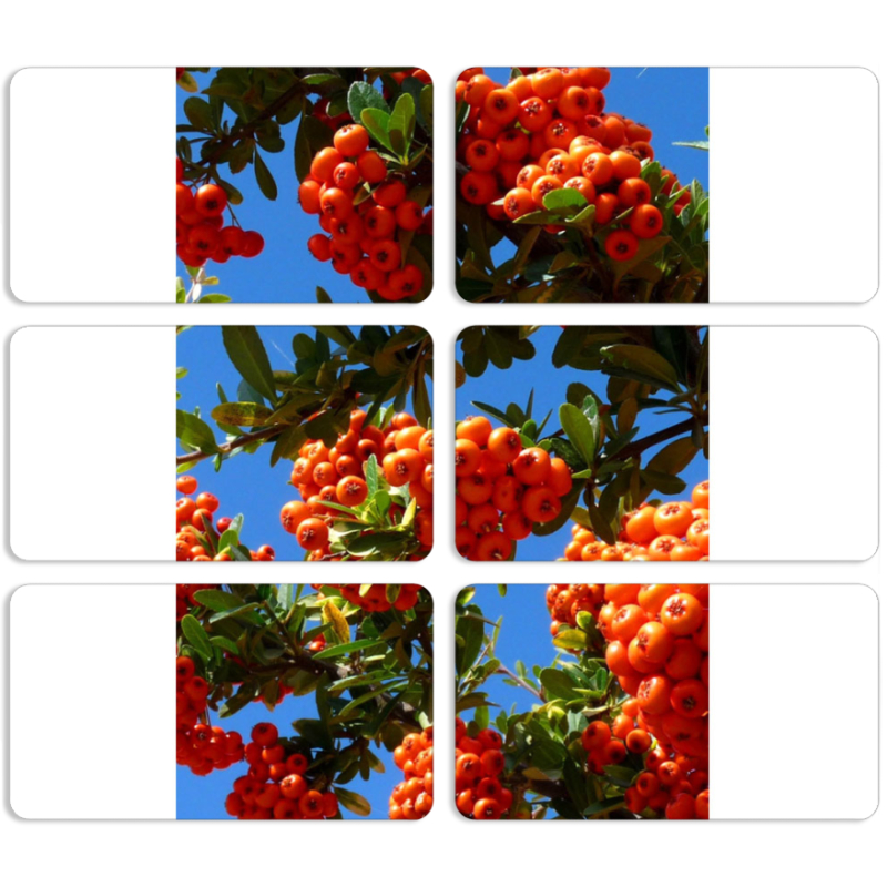 Магнитные фотопазлы 90 на 50 набор 6 штук 