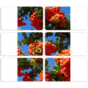 Магнитные фотопазлы 90 на 50 набор 6 штук 