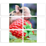 Магнитные фотопазлы 90 на 50 набор 6 штук 