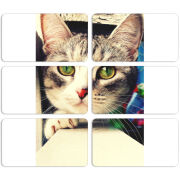 Магнитные фотопазлы 90 на 50 набор 6 штук 