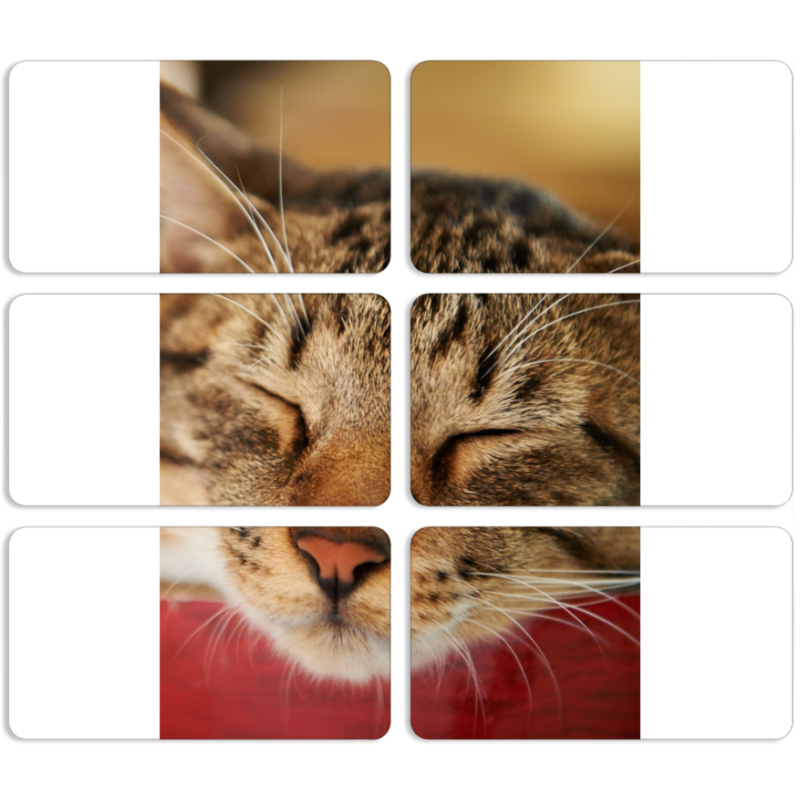 Магнитные фотопазлы 90 на 50 набор 6 штук 