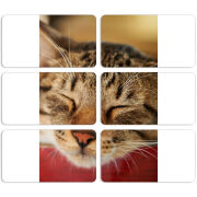 Магнитные фотопазлы 90 на 50 набор 6 штук 