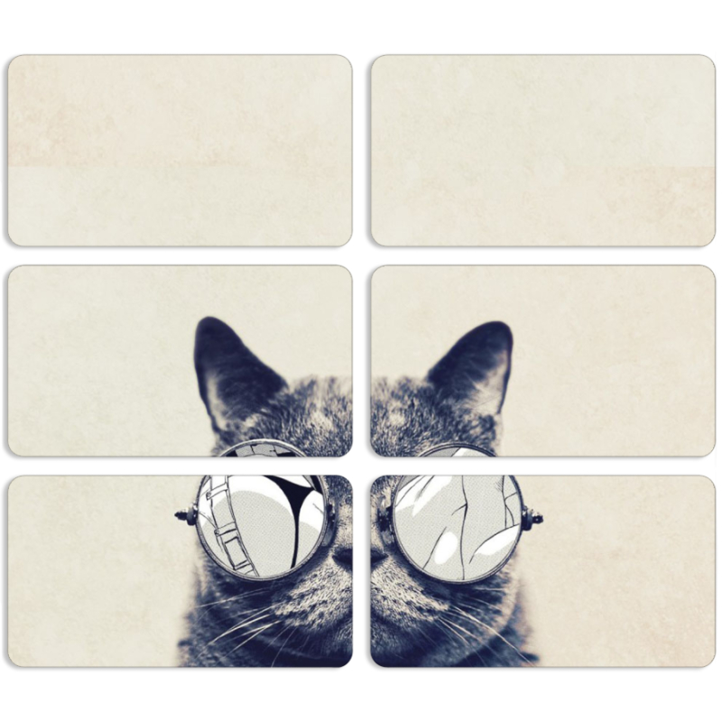 Магнитные фотопазлы 90 на 50 набор 6 штук Соглядатай Кот