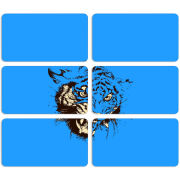 Магнитные фотопазлы 90 на 50 набор 6 штук 