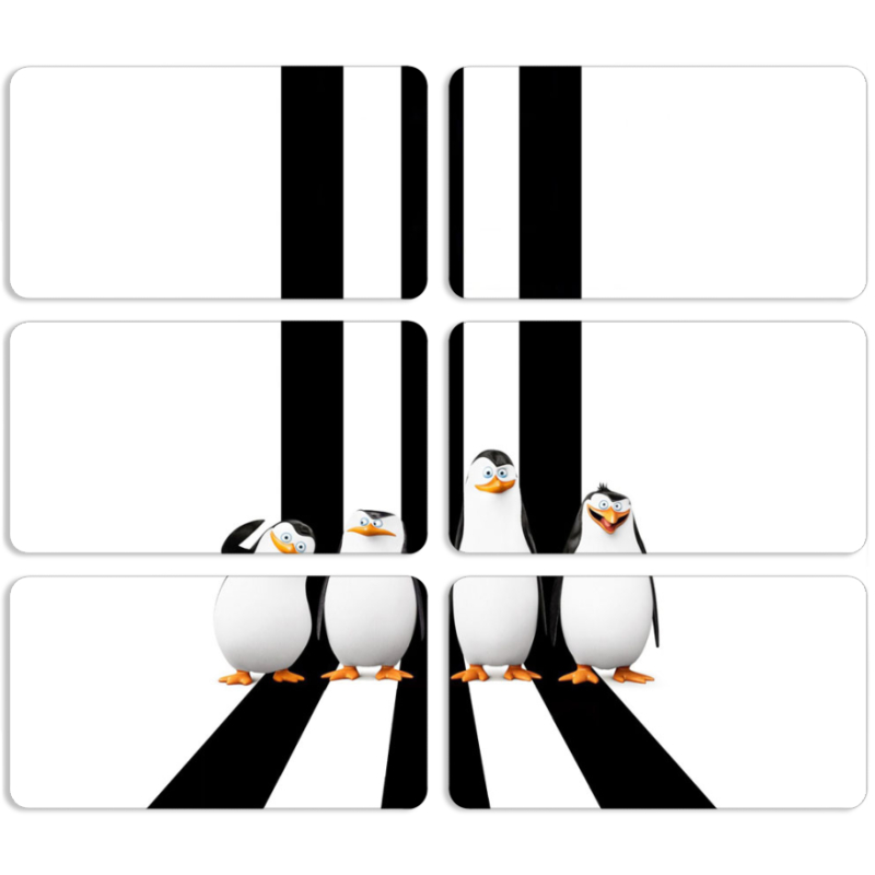 Магнитные фотопазлы 90 на 50 набор 6 штук 