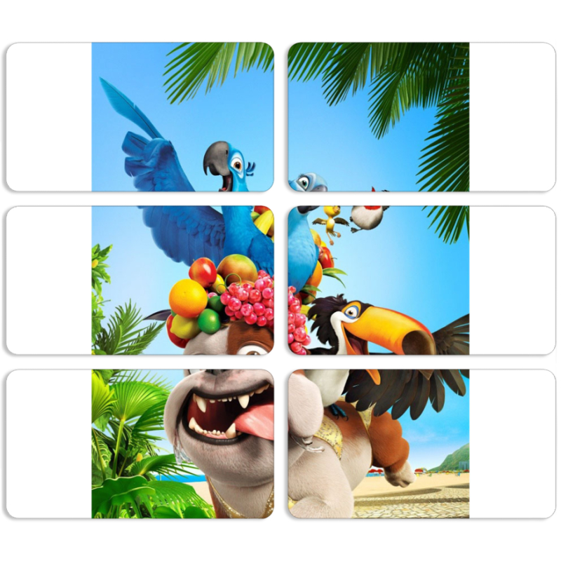 Магнитные фотопазлы 90 на 50 набор 6 штук 