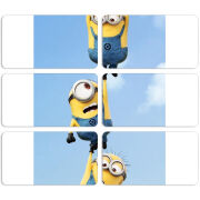 Магнитные фотопазлы 90 на 50 набор 6 штук 