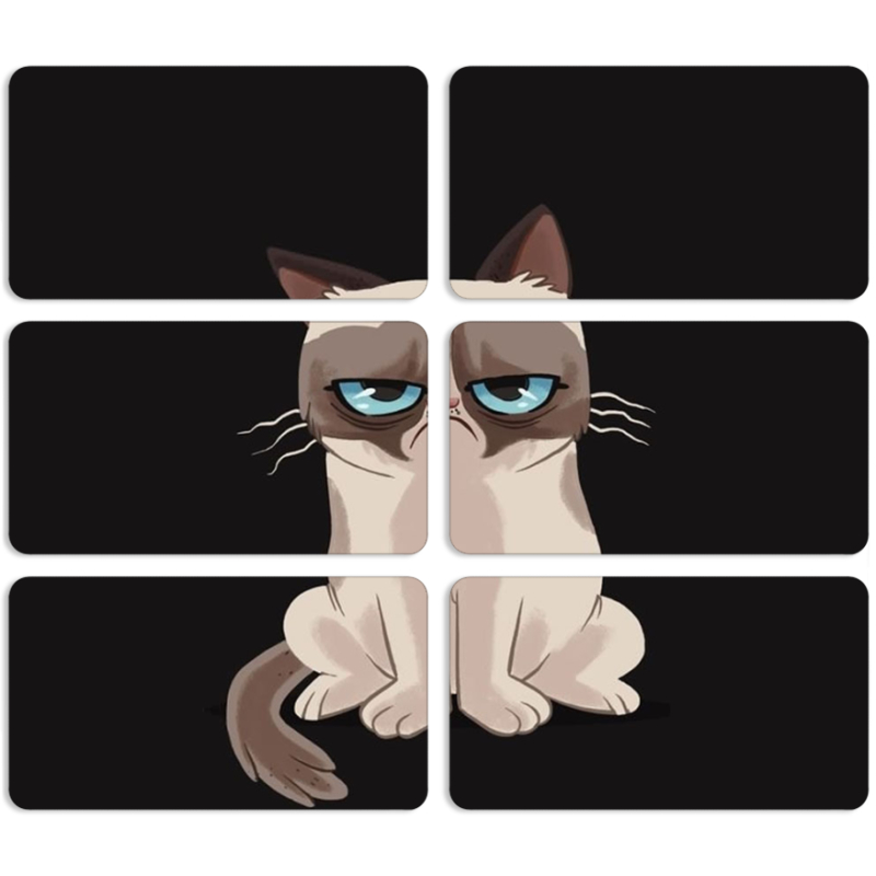 Магнитные фотопазлы 90 на 50 набор 6 штук 