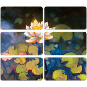 Магнитные фотопазлы 90 на 50 набор 6 штук Waterlily