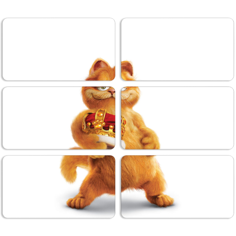 Магнитные фотопазлы 90 на 50 набор 6 штук 