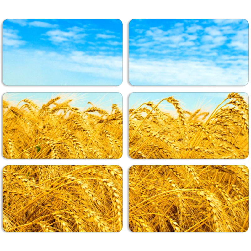 Магнитные фотопазлы 90 на 50 набор 6 штук 