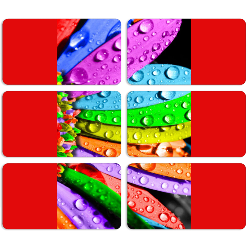 Магнитные фотопазлы 90 на 50 набор 6 штук Colored Chamomile