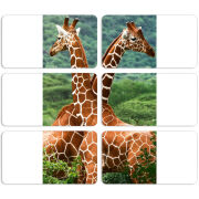 Магнитные фотопазлы 90 на 50 набор 6 штук 