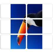 Магнитные фотопазлы 90 на 50 набор 6 штук 