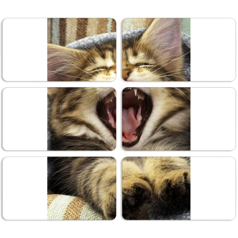 Магнитные фотопазлы 90 на 50 набор 6 штук 