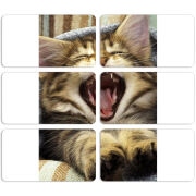 Магнитные фотопазлы 90 на 50 набор 6 штук 