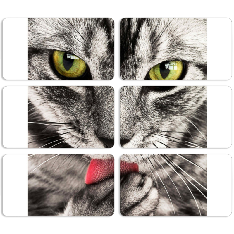 Магнитные фотопазлы 90 на 50 набор 6 штук 