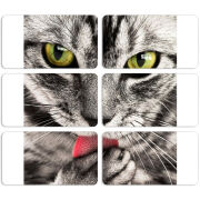 Магнитные фотопазлы 90 на 50 набор 6 штук 