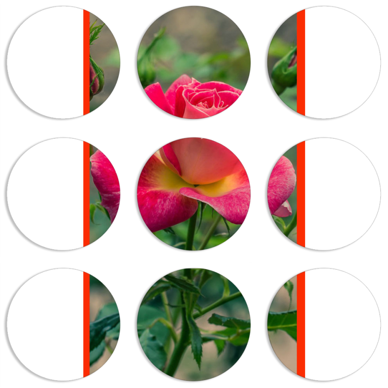 Магнитные фотопазлы круги d55 набор 9 штук 