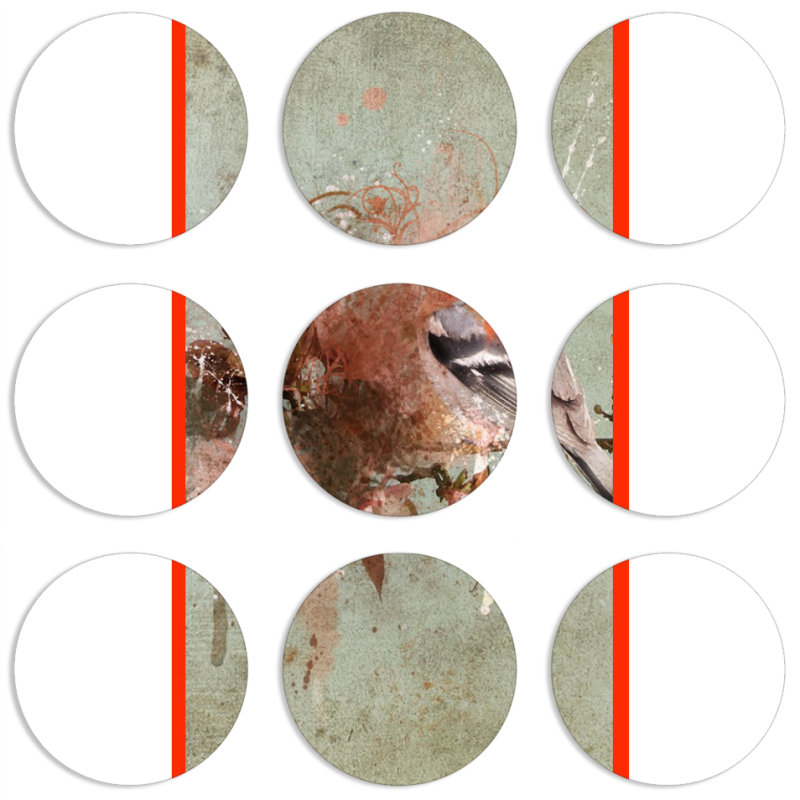 Магнитные фотопазлы круги d55 набор 9 штук 