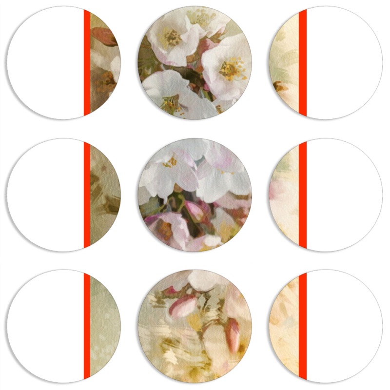 Магнитные фотопазлы круги d55 набор 9 штук 