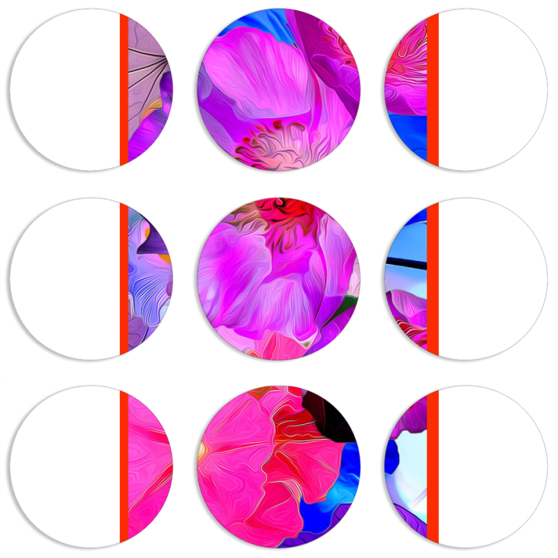 Магнитные фотопазлы круги d55 набор 9 штук 