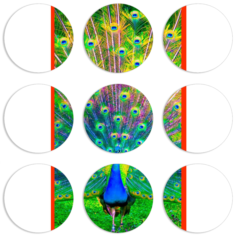 Магнитные фотопазлы круги d55 набор 9 штук 