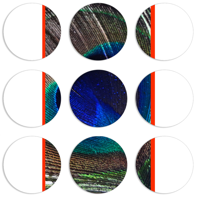 Магнитные фотопазлы круги d55 набор 9 штук 