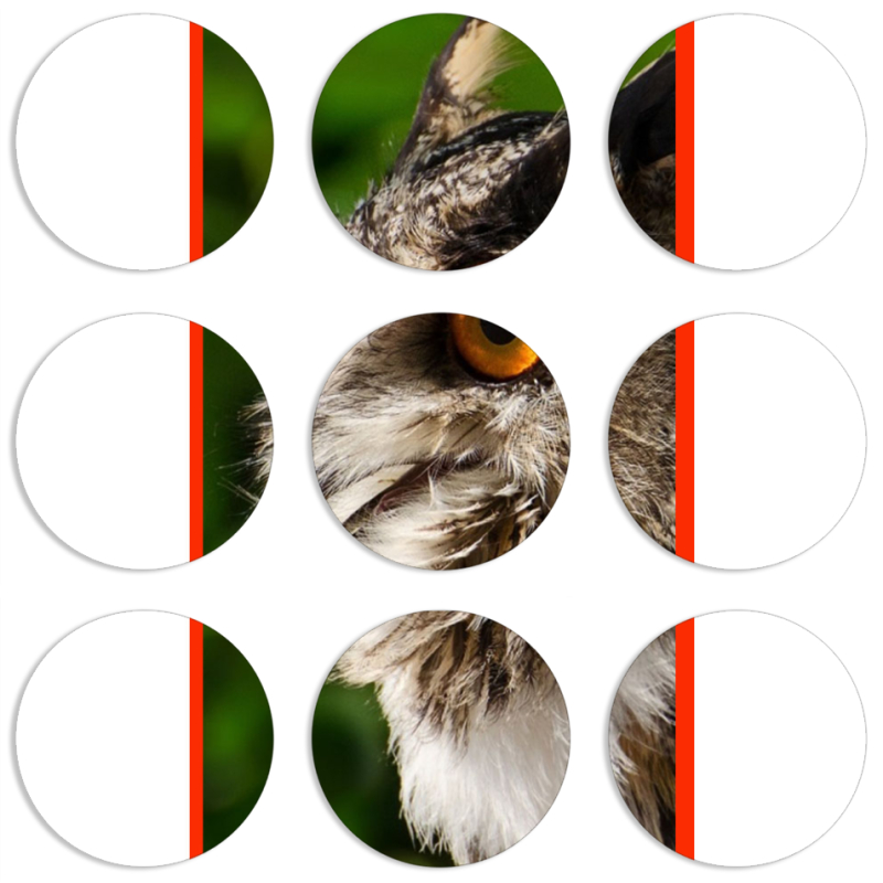 Магнитные фотопазлы круги d55 набор 9 штук 