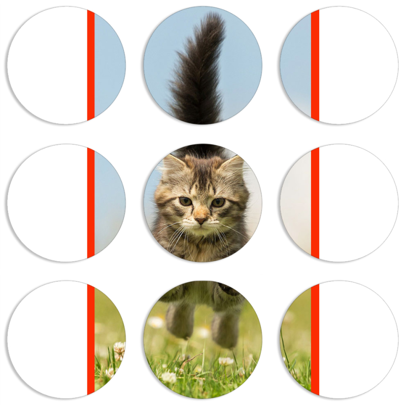 Магнитные фотопазлы круги d55 набор 9 штук 