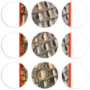 Магнитные фотопазлы круги d55 набор 9 штук 