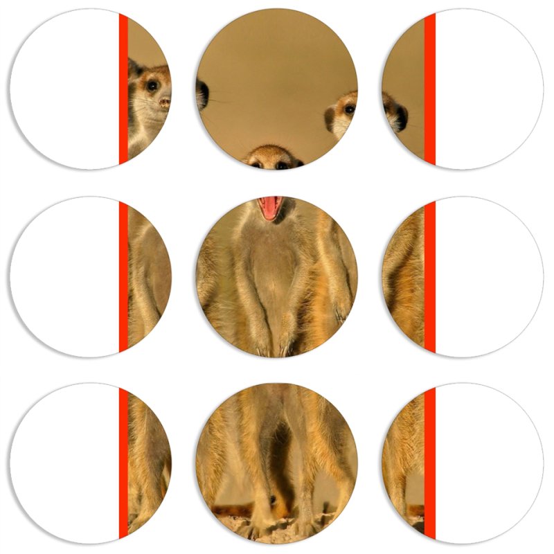 Магнитные фотопазлы круги d55 набор 9 штук 