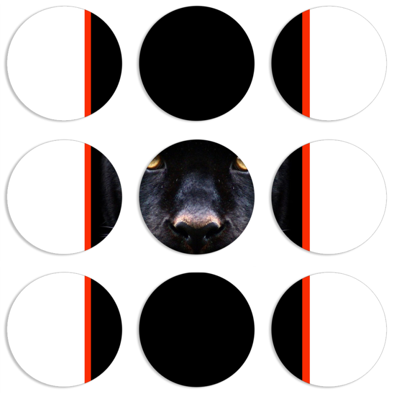 Магнитные фотопазлы круги d55 набор 9 штук 