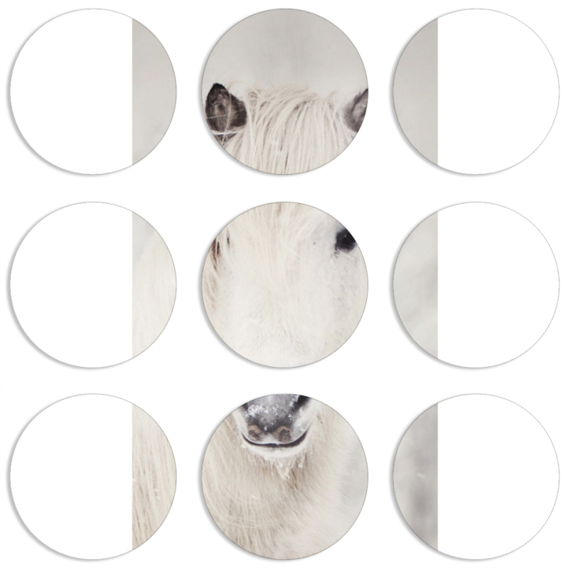 Магнитные фотопазлы круги d55 набор 9 штук 