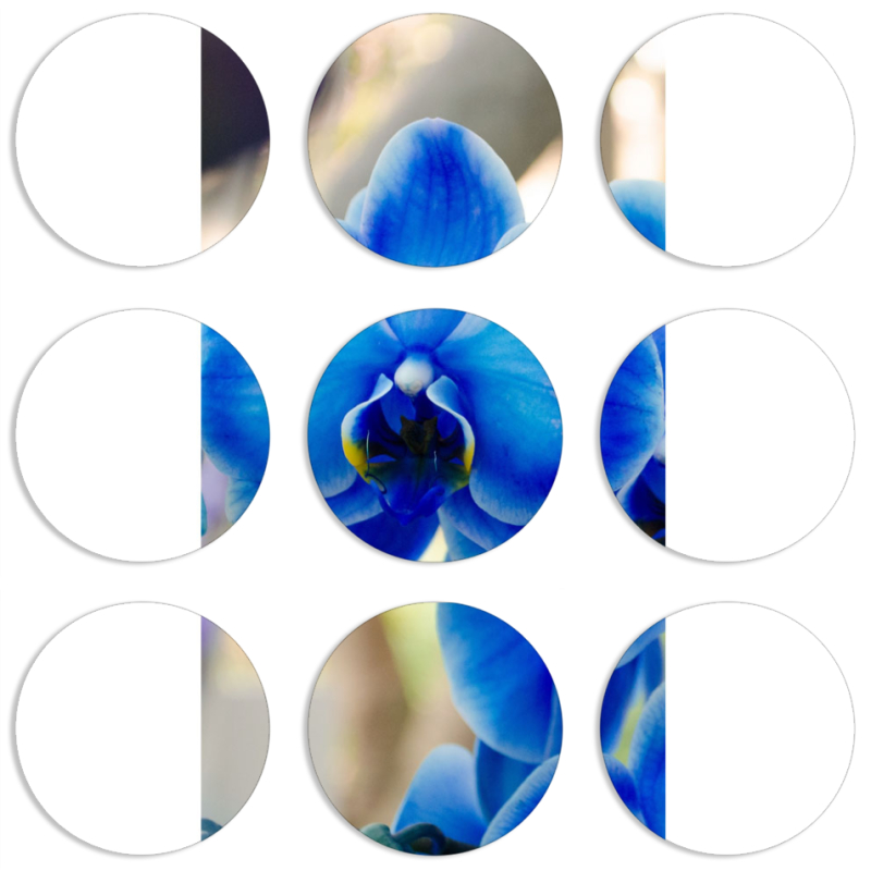 Магнитные фотопазлы круги d55 набор 9 штук 