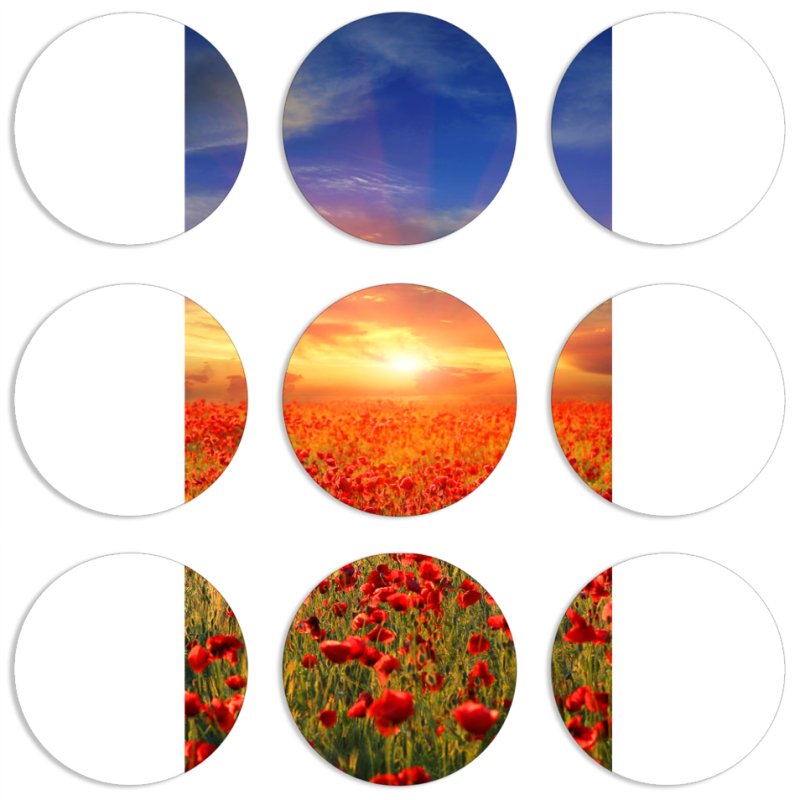 Магнитные фотопазлы круги d55 набор 9 штук 