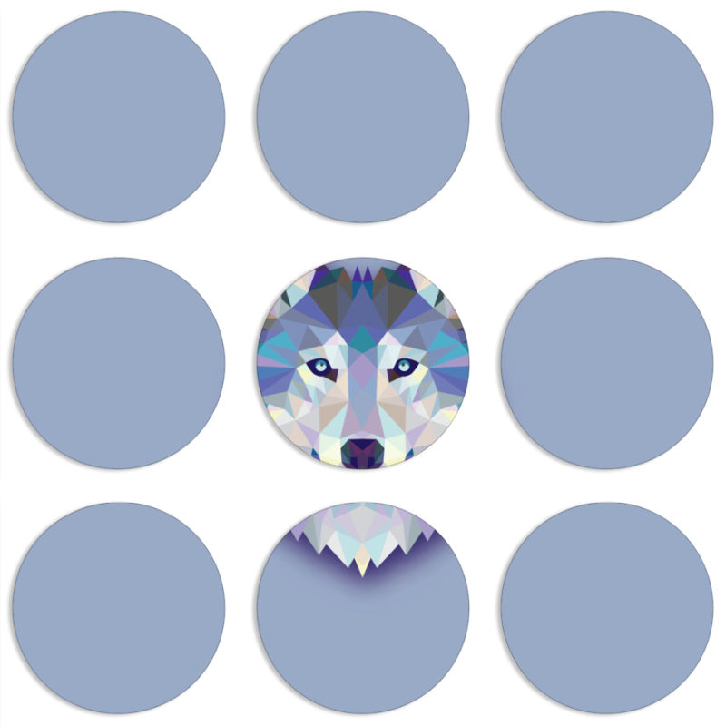 Магнитные фотопазлы круги d55 набор 9 штук Wolfie