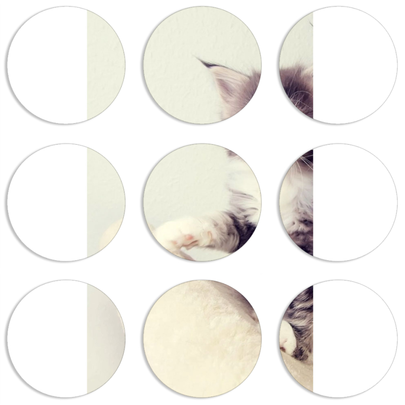 Магнитные фотопазлы круги d55 набор 9 штук 