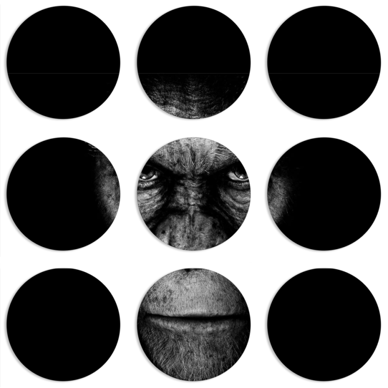 Магнитные фотопазлы круги d55 набор 9 штук 