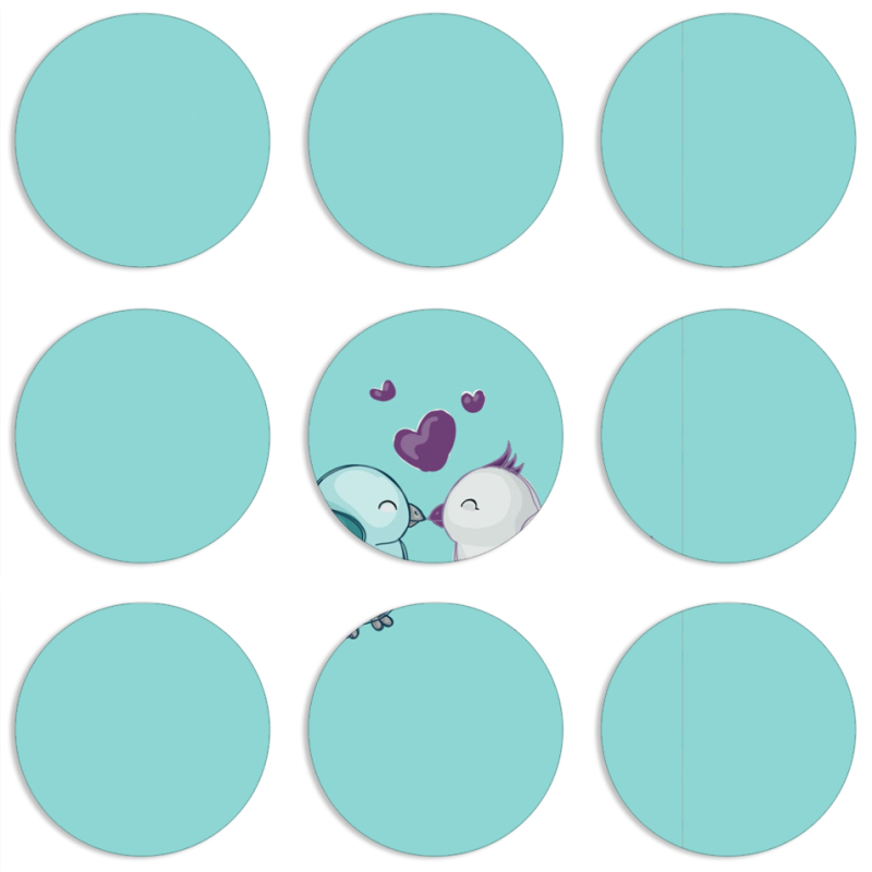 Магнитные фотопазлы круги d55 набор 9 штук 