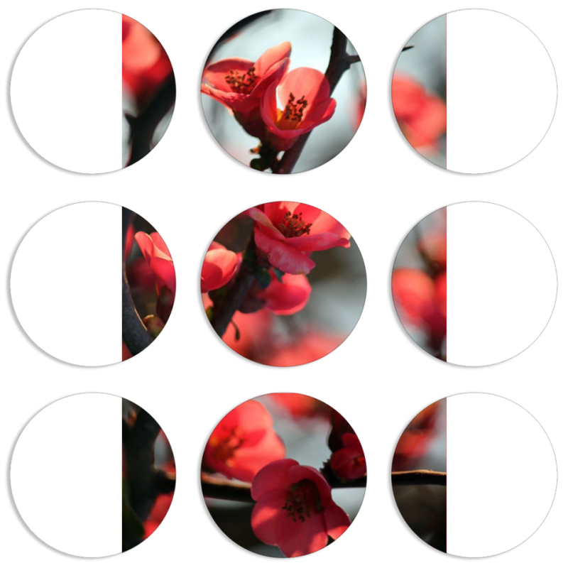 Магнитные фотопазлы круги d55 набор 9 штук Awakening Spring