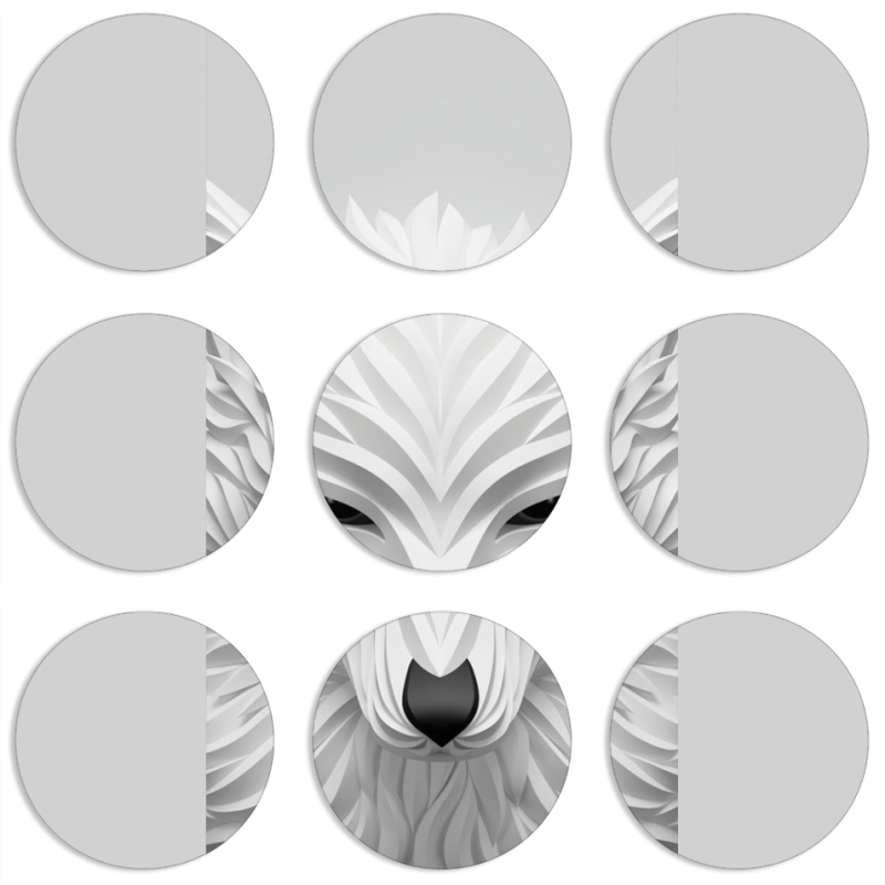 Магнитные фотопазлы круги d55 набор 9 штук White Wolf