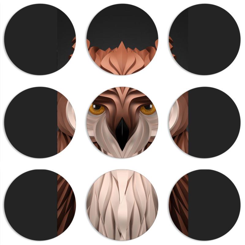 Магнитные фотопазлы круги d55 набор 9 штук 