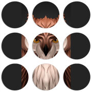 Магнитные фотопазлы круги d55 набор 9 штук 