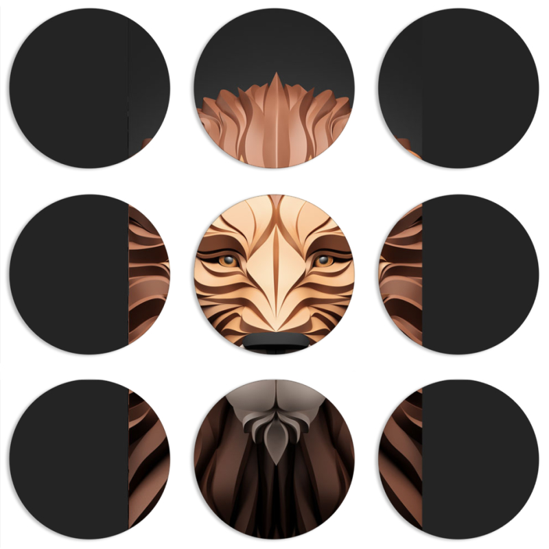 Магнитные фотопазлы круги d55 набор 9 штук 