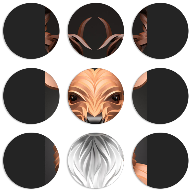 Магнитные фотопазлы круги d55 набор 9 штук 