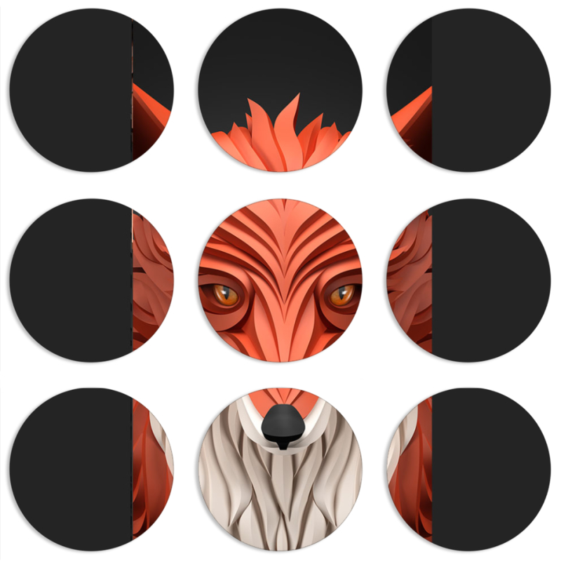 Магнитные фотопазлы круги d55 набор 9 штук 