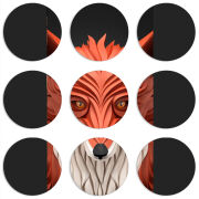 Магнитные фотопазлы круги d55 набор 9 штук 