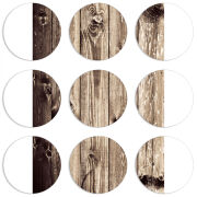 Магнитные фотопазлы круги d55 набор 9 штук 